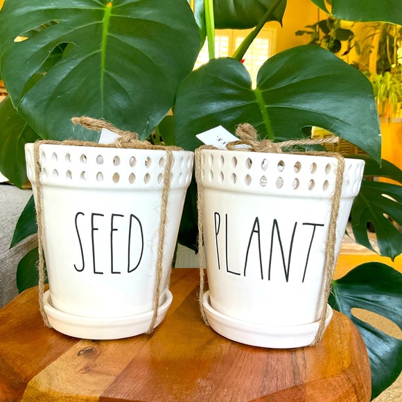 Set of Rae Dunn SEED and PLANT Ceramic Planters